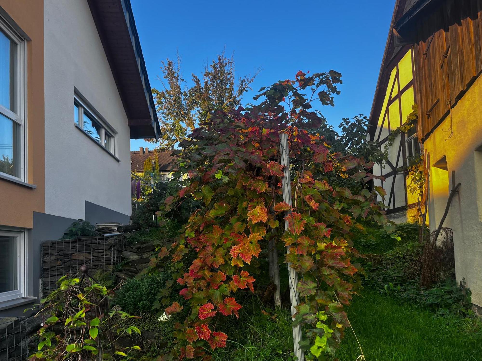 Kleine Auszeit - Ferienwohnung Heideberg - "Rhein" In Den Urlaub Bacharach Exterior photo